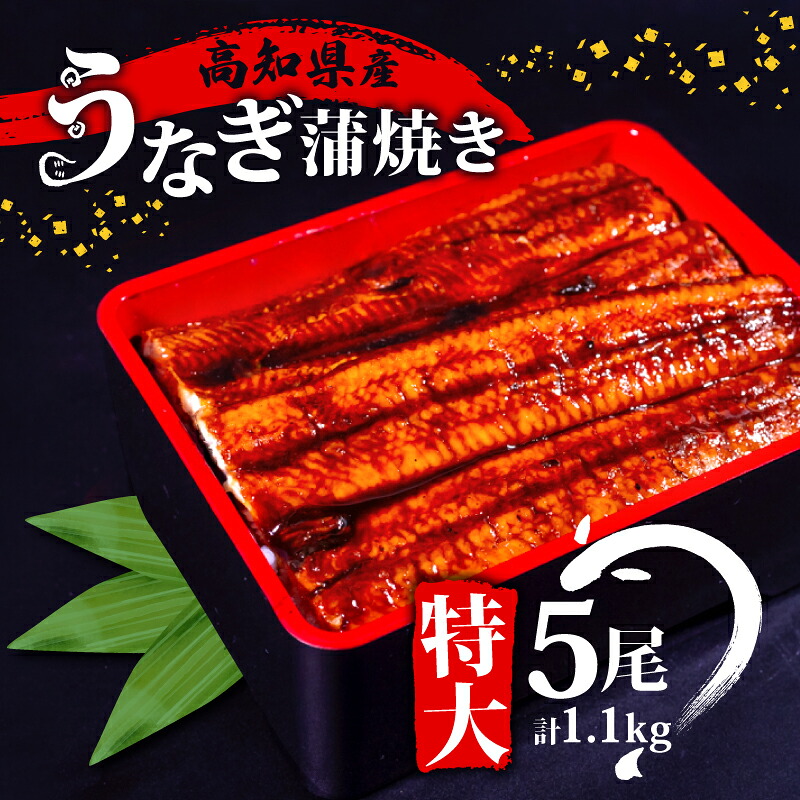 国産 うなぎ 蒲焼き 5尾 ( 1尾 約220g ) 尾頭付き 土用の丑の日 高知県産 蒲焼 特大 特上 鰻 ひつまぶし うな丼 うな重 お歳暮 ギフト 冷凍 養殖 ふるさと納税うなぎ 高知県 須崎市