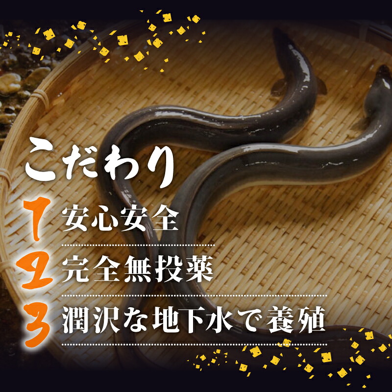 国産 うなぎ 蒲焼き 5尾 ( 1尾 約220g ) 尾頭付き 土用の丑の日 高知県産 蒲焼 特大 特上 鰻 ひつまぶし うな丼 うな重 お歳暮 ギフト 冷凍 養殖 ふるさと納税うなぎ 高知県 須崎市