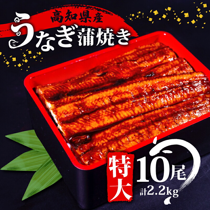 国産 うなぎ 蒲焼き 10尾 ( 1尾 約220g ) 尾頭付き 土用の丑の日 高知県産 蒲焼 特大 特上 鰻 ひつまぶし うな丼 うな重 お歳暮 ギフト 冷凍 養殖 ふるさと納税うなぎ 高知県 須崎