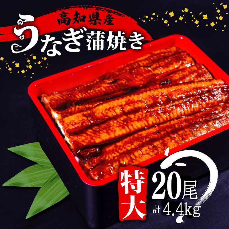 国産 うなぎ 蒲焼き 20尾 ( 1尾 約220g ) 尾頭付き 土用の丑の日 高知県産 蒲焼 特大 特上 鰻 ひつまぶし うな丼 うな重 お歳暮 ギフト 冷凍 養殖 ふるさと納税うなぎ 高知県 須崎