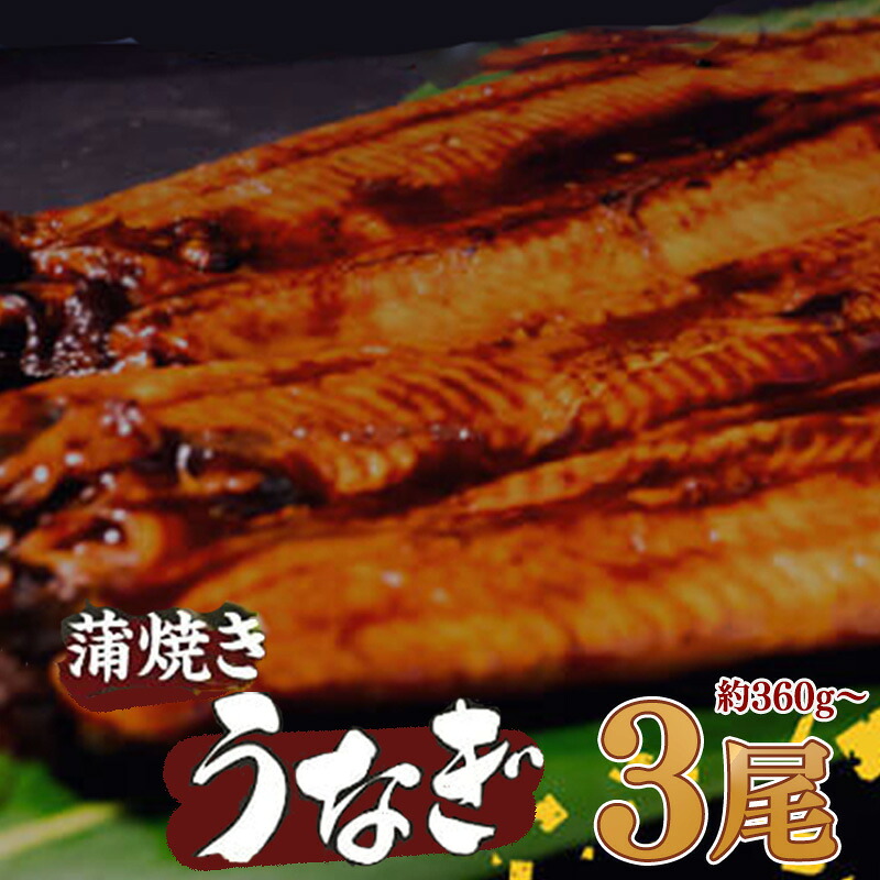 有頭 うなぎ 蒲焼 3尾 360g以上（ 120g～140g × 3尾 ） | 尾頭付き 土用の丑の日 蒲焼 鰻 ひつまぶし うな丼 うな重 お歳暮 ギフト 冷凍 養殖 ふるさと納税うなぎ 高知県