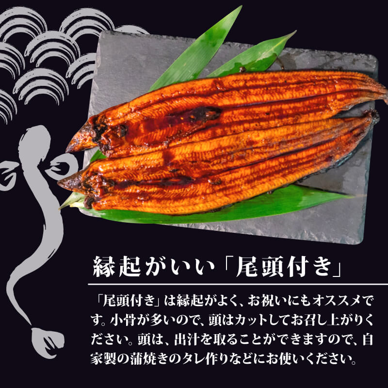 有頭 うなぎ 蒲焼 3尾 360g以上( 120g~140g × 3尾 ) | 尾頭付き 土用の丑の日 蒲焼 鰻 ひつまぶし うな丼 うな重 お歳暮 ギフト 冷凍 養殖 ふるさと納税うなぎ 高知県