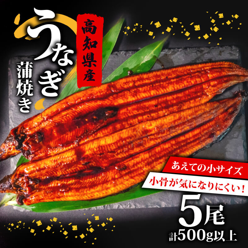 国産 うなぎ の 蒲焼き 5尾 ( 1尾 100g ~ 120g ) 尾頭付き 土用の丑の日 高知県産 蒲焼 特上 鰻 ひつまぶし うな丼 うな重 お歳暮 ギフト 冷凍 養殖 ふるさと納税うなぎ 高知