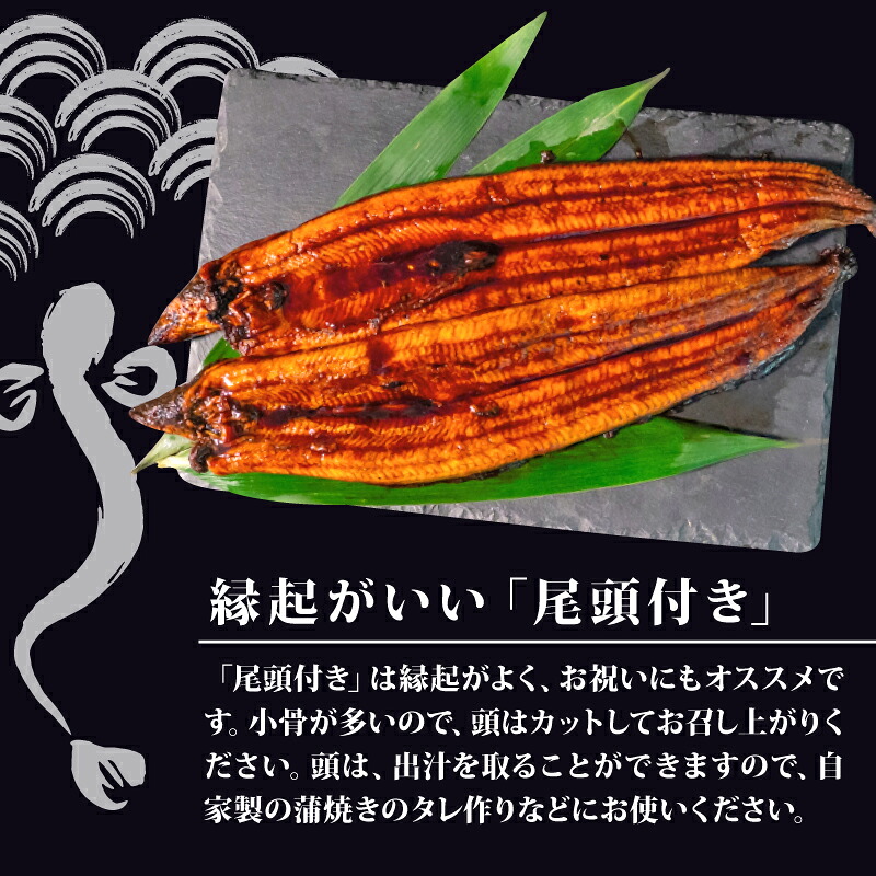 国産 うなぎ の 蒲焼き 5尾 ( 1尾 100g ~ 120g ) 尾頭付き 土用の丑の日 高知県産 蒲焼 特上 鰻 ひつまぶし うな丼 うな重 お歳暮 ギフト 冷凍 養殖 ふるさと納税うなぎ 高知