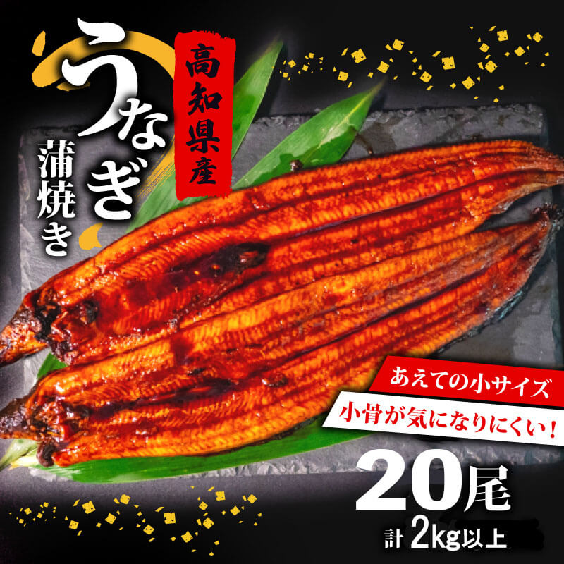 国産 うなぎ の 蒲焼き 20尾 ( 1尾 100g ~ 120g ) 尾頭付き 土用の丑の日 高知県産 蒲焼 特上 鰻 ひつまぶし うな丼 うな重 お歳暮 ギフト 冷凍 養殖 ふるさと納税うなぎ