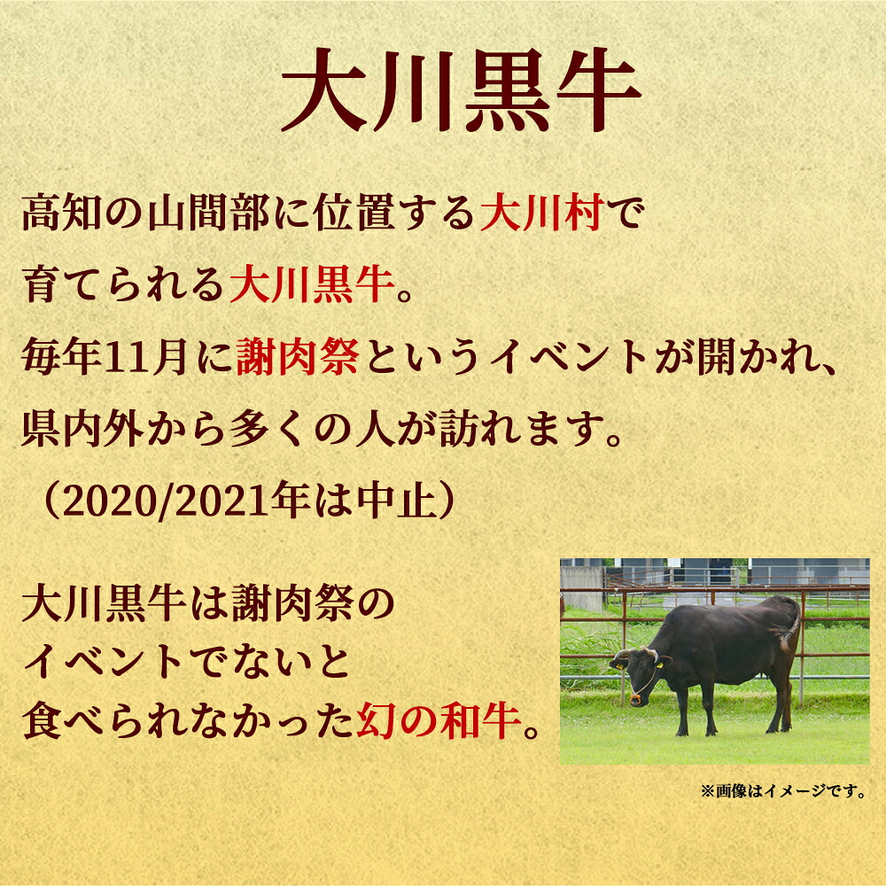 肉 牛肉 国産 黒毛 和牛 ロース 150g 切り落とし 200g 焼肉 希少 幻の大川黒毛和牛 高知県 須崎市 ふるさと納税牛肉 赤身 希少 幻の大川黒毛和牛 ブランド牛 焼肉 ブロック セット 人