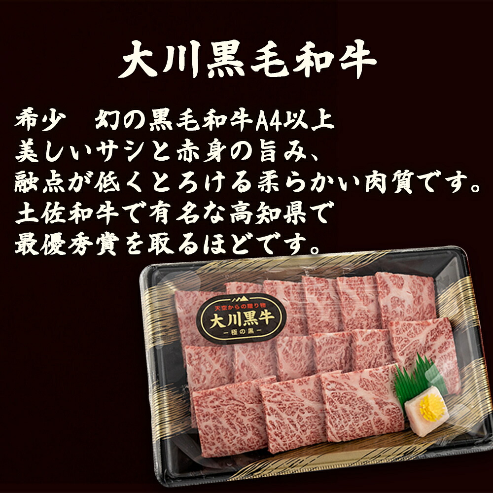 国産 黒毛和牛 「 大川黒毛和牛 」ロース 地鶏 胸肉 もも肉 の セット 肉 牛肉 国産 黒毛 和牛ロース 300g 鶏肉 もも むね お得 パック 詰め合わせ 土佐はちきん地鶏