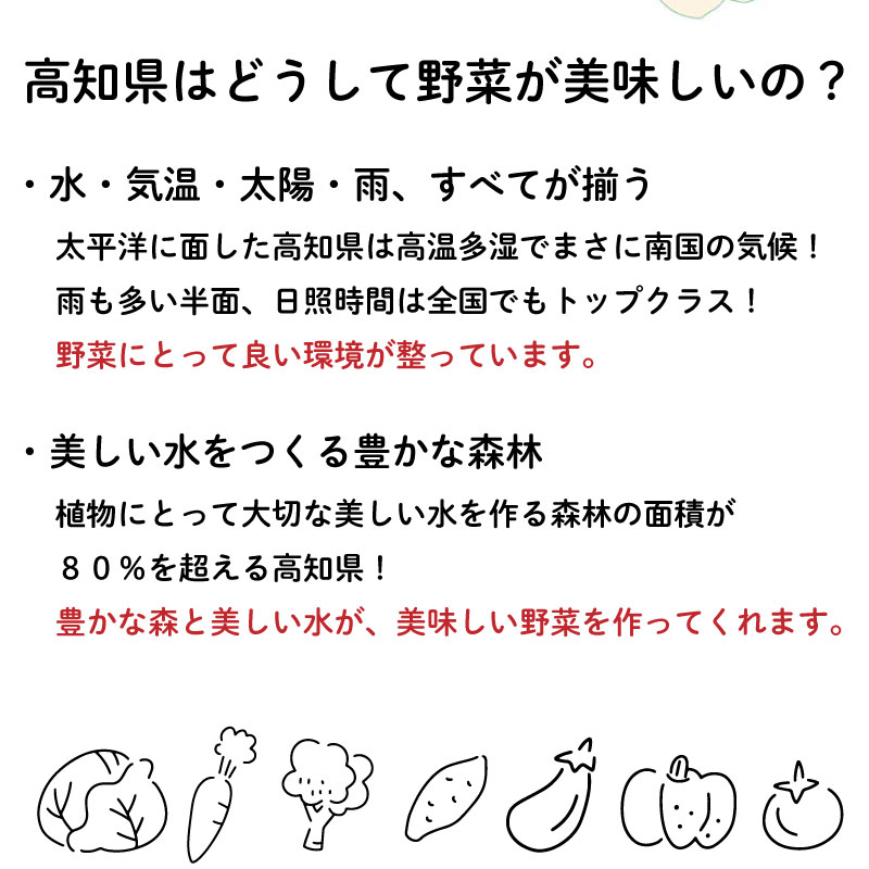 野菜 8 品目 | 季節 旬 野菜 詰め合せ 国産 季節 旬 おまかせ 産地直送 春野菜 夏野菜 秋野菜 きのこ 葉物 果物 果菜 根菜 冷蔵 野菜室 食 栄養食 加工品 季節限定 山菜 ブロッコリー