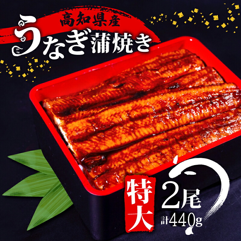 うなぎ 蒲焼き 2尾