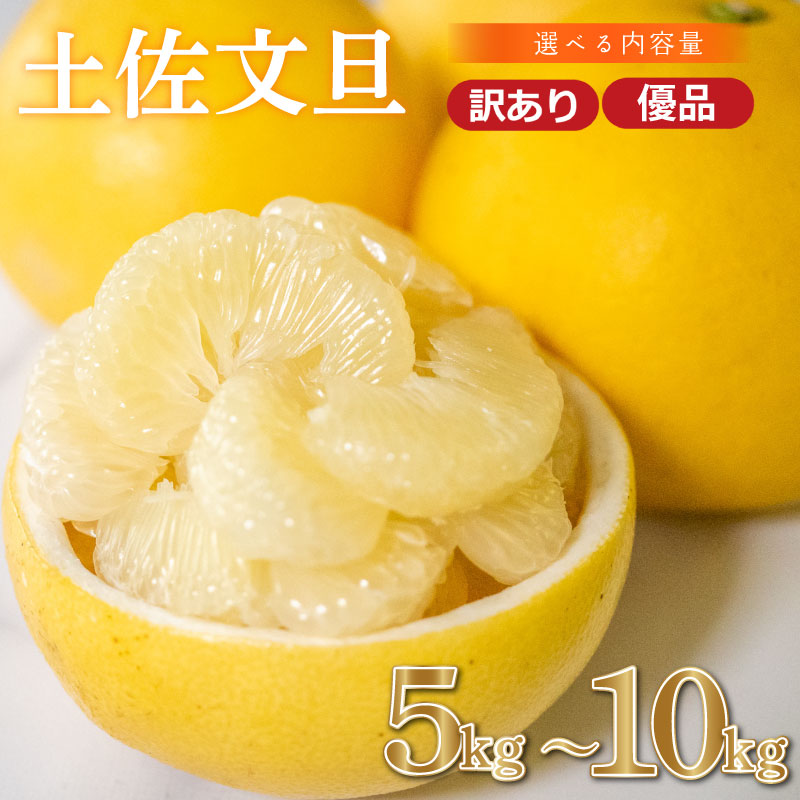 【早期予約開始 2027年2月頃より順次発送】訳あり 文旦 土佐文旦 5kg 10kg 優品 贈答 果物 フルーツ 文旦 ぶんたん ブンタン 浦ノ内 みかん 蜜柑 柑橘 分担 旬 時期 数量限定 期間