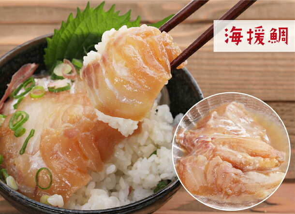 漬け丼 海鮮 勘八 ( カンパチ ) 鯛 ( たい ) 丼 セット 詰め合わせ 極美勘八 海援鯛 産地直送 お茶漬け 高知県 須崎市 MM006