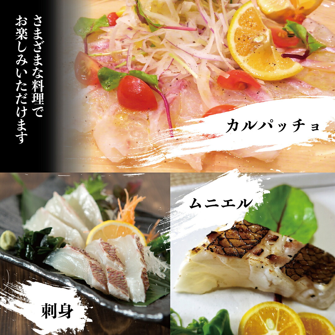 鯛 タイ 刺身 片身 鮮魚 日本最高峰評価のマダイ ブランド 海援鯛 魚 産地直送 高知県 須崎市