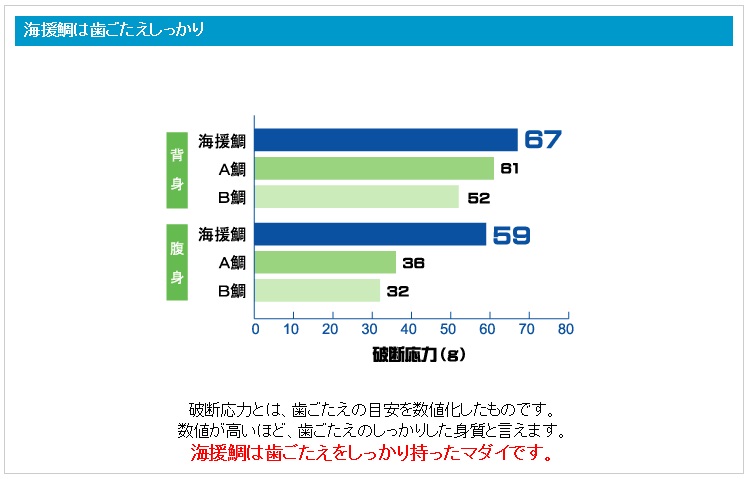鯛 タイ 刺身 まるごと 1匹分 鮮魚 日本最高峰評価のマダイ ブランド 海援鯛 魚 産地直送 高知県 須崎市