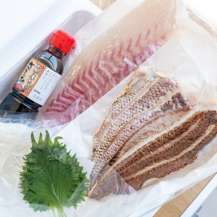 鯛 タイ 刺身 まるごと 1匹分 約600g~800g 鮮魚 炙り 柵 魚 産地直送 高知県 須崎市