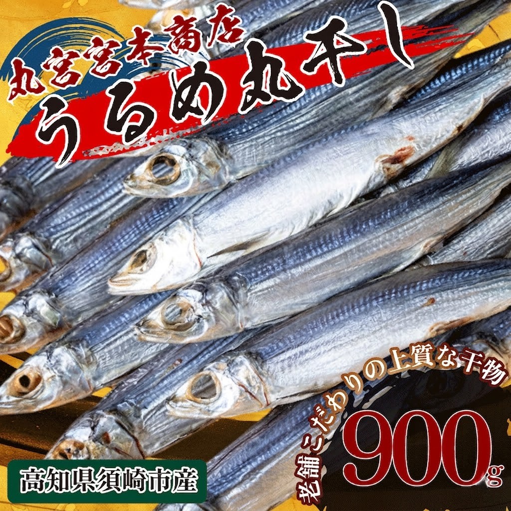 特上品 うるめ いわし 900g 干物 鰯 煮干し 真いわし 真鰯 稚魚 おやつ 乾物 魚介 加工品 ウルメ 丸宮 宮本 商店 土佐 海洋深層水 ミネラル 高知県 須崎市 MMY003-2x