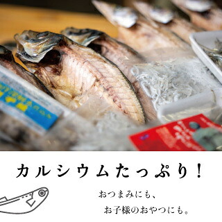 干物 旬の おまかせ 詰め合わせ セット 須崎 高知 冷凍 ひもの 【 産地 直送 】 おまかせ 各種 沖うるめ ニロギ イワシ丸干し カマス丸干し ヤケド ハダカイワシ ヒメイチ きびなご メヒカ MMY014_x