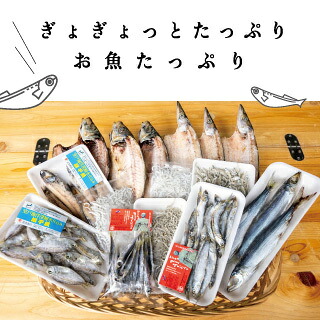干物 旬の おまかせ 詰め合わせ セット 須崎 高知 冷凍 ひもの 【 産地 直送 】 おまかせ 各種 沖うるめ ニロギ イワシ丸干し カマス丸干し ヤケド ハダカイワシ ヒメイチ きびなご メヒカ MMY014_x