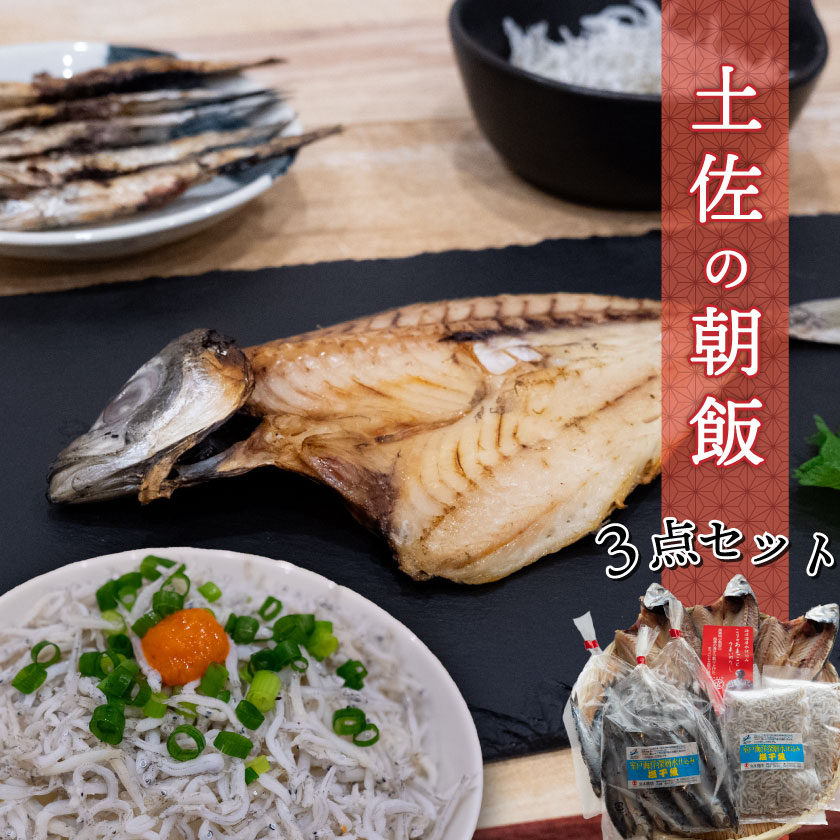 須崎 土佐 朝飯 3点 セット アジ 干物 ちりめん