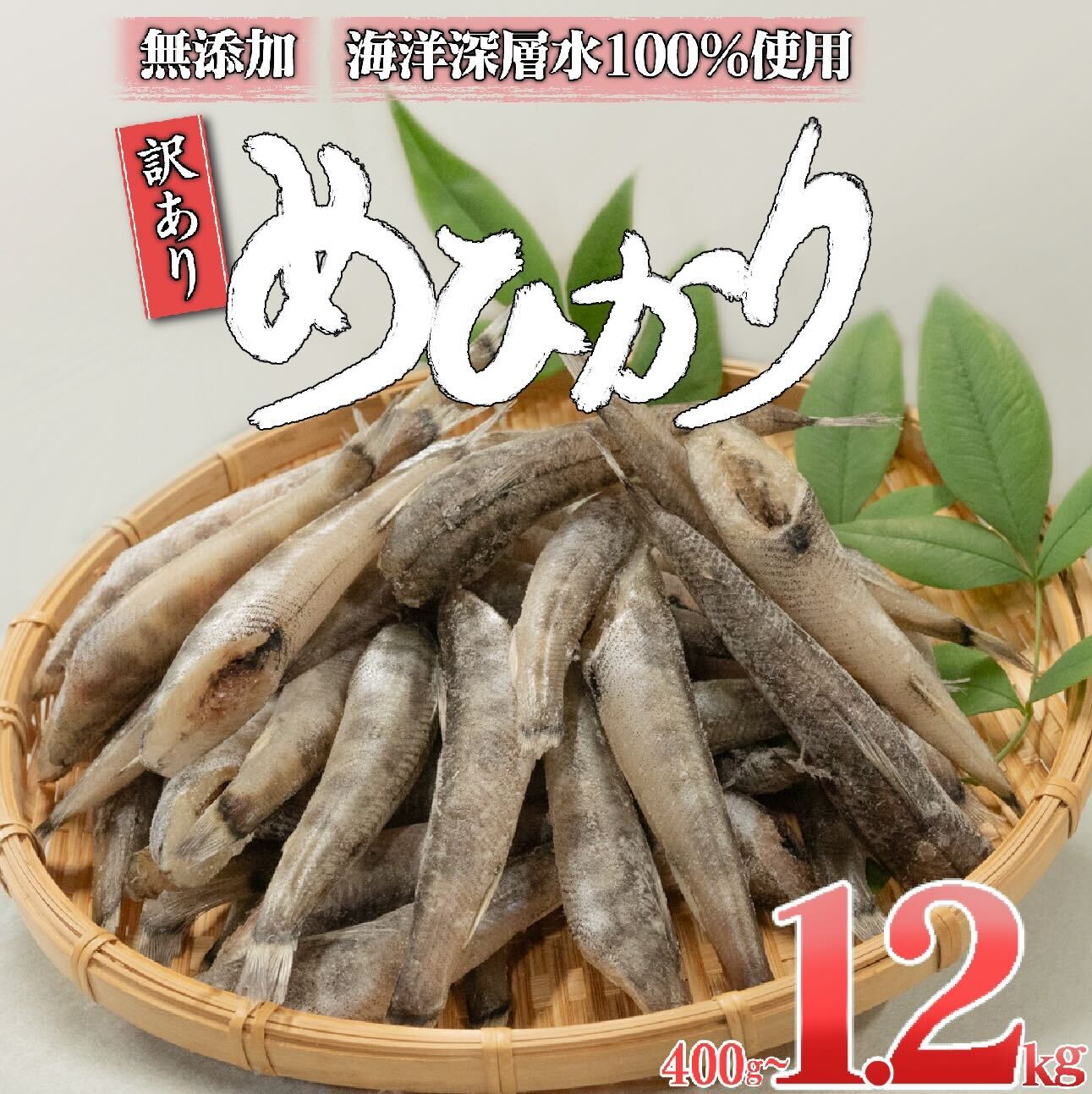 訳あり めひかり 干物 400g～1.2kg 産地直送 白身 骨 丸ごと 魚 おかず おつまみ カルシウム ミネラル アオメエソ 天然塩 海洋深層水 丸宮 宮本商店 高知県 須崎市 MMY034