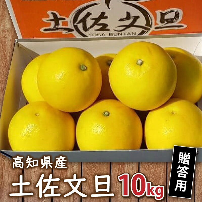 みかん 柑橘類 開始 訳あり 文旦 土佐文旦 10kg