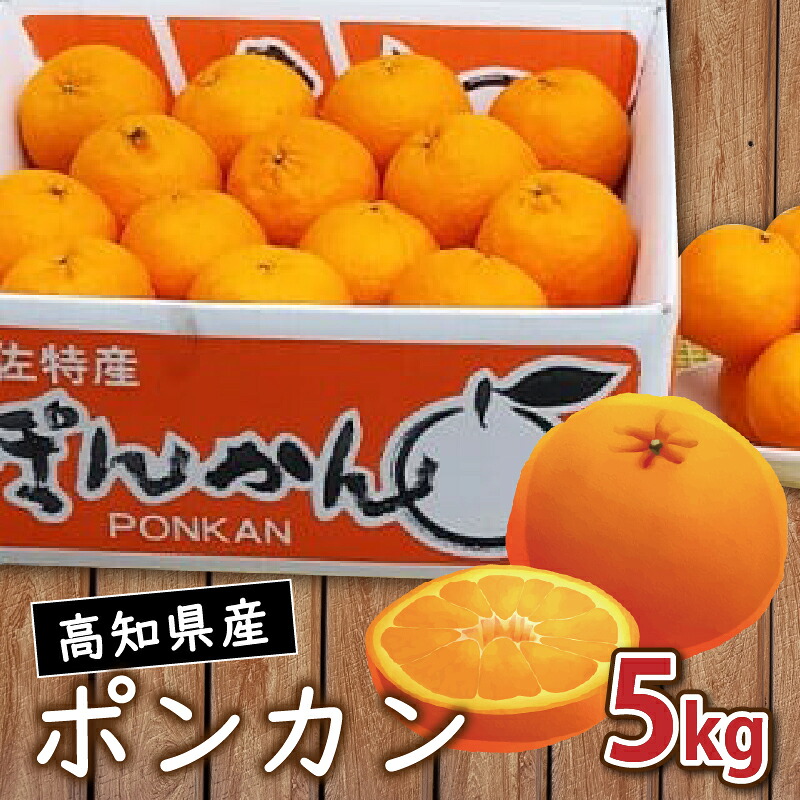 1月から発送開始 訳あり ポンカン 5kg | ぽんかん 訳あり 家庭用 おすすめ ランキング 産地直送 果物 フルーツ ふるさと納税みかん 柑橘 くだもの ミカン 果肉 蜜柑 人気 ふる