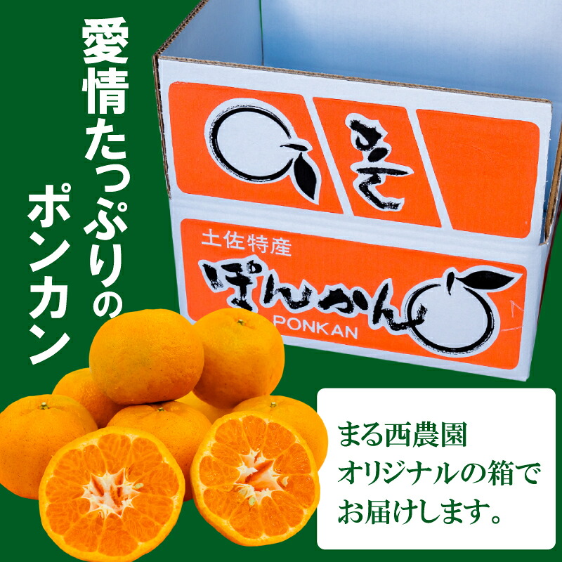 1月から発送開始 訳あり ポンカン 5kg | ぽんかん 訳あり 家庭用 おすすめ ランキング 産地直送 果物 フルーツ ふるさと納税みかん 柑橘 くだもの ミカン 果肉 蜜柑 人気 ふる