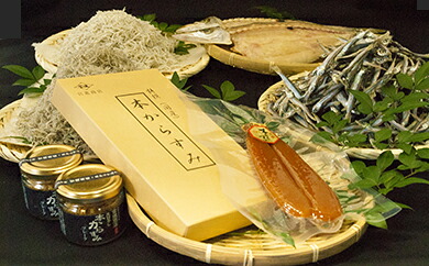 本からすみ と 各種 干物 セット ちりめん ご飯のお供