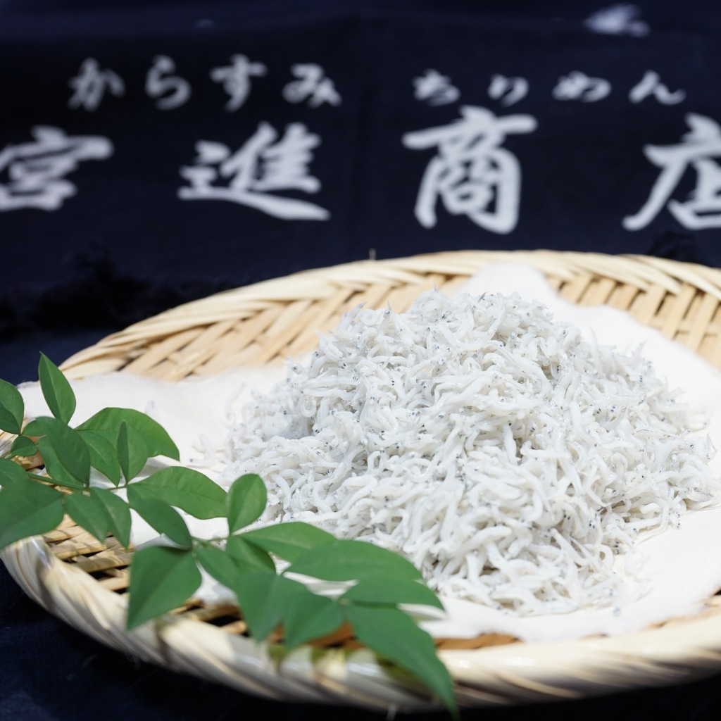 本からすみ と 各種 干物 セット  ［ 高級珍味 ］ ちりめん ご飯のお供 冷蔵 配送 国産 旬 カラスミ かちりちりめん フレーク 唐墨 塩干し 丸干し 宮進商店謹製 須崎市 高知県 MS008