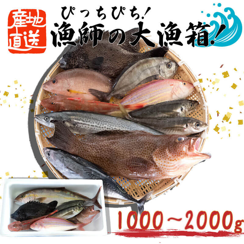 魚 鮮魚 ボックス 1kg~2kg 旬 鮮度 抜群 おまかせ 詰め合わせ 海鮮 魚介 新鮮 高知県 須崎市 MT004