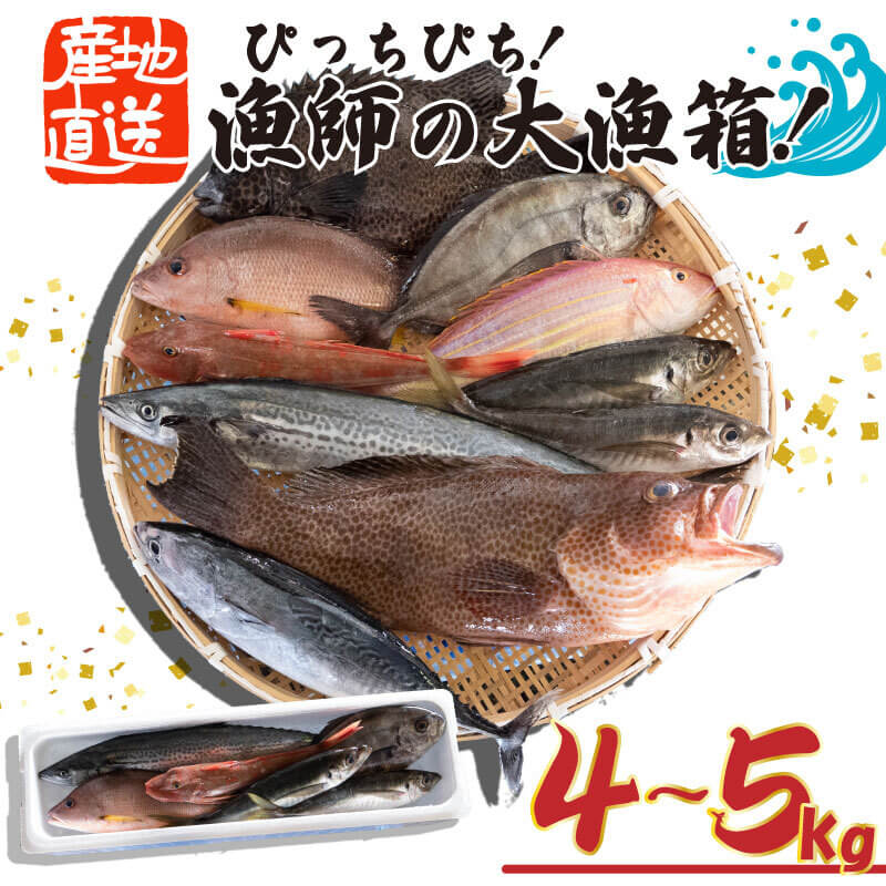 魚 鮮魚 ボックス 4kg～5kg 旬 鮮度 抜群 おまかせ 詰め合わせ 海鮮 魚介 新鮮 高知県 須崎市 MT005