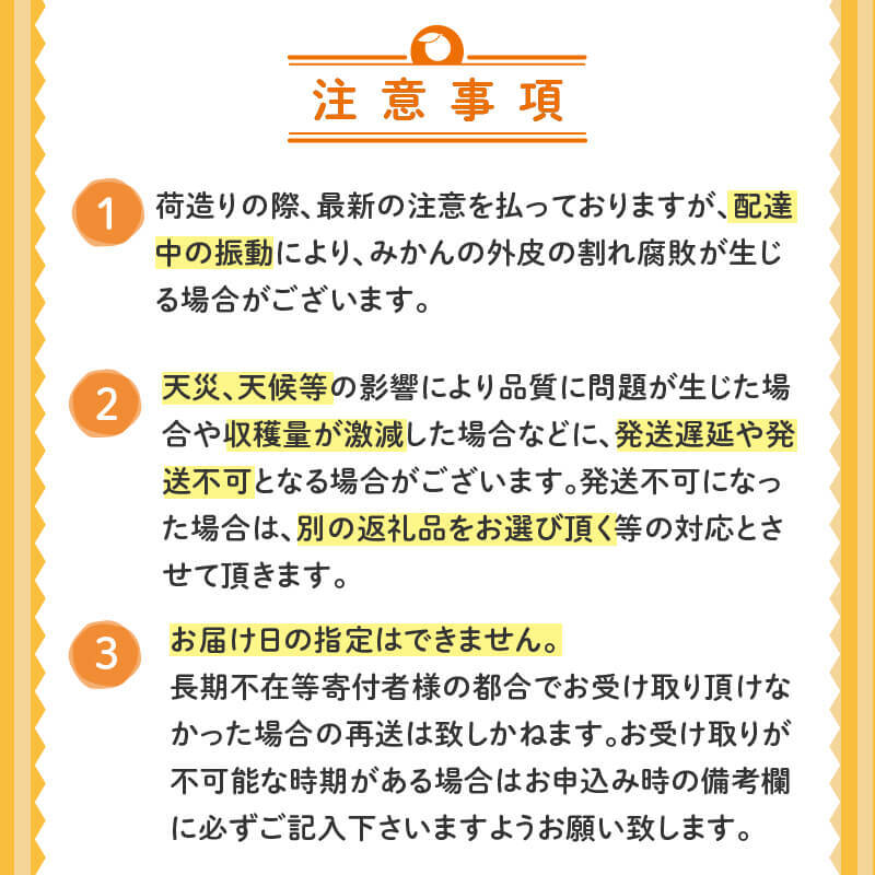 【ふるさと納税】 訳あり 文旦 5kg 2027年2月より順次発送 産地直送 名産 季節限定 期間限定 ジャム 贈答 柑橘 フルーツ 果物 くだもの 果実 みかん かんきつ 土佐文旦 ぶんたん デザー