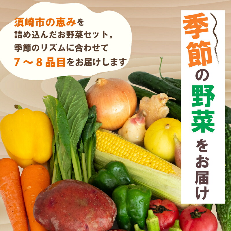 季節の野菜セット 産地直送 朝採れ （7品 ～ 8品 野菜 セット 詰め合わせ 特産 季節 旬 新鮮 彩 ベジタブル 高知県 須崎市  ） NPO020