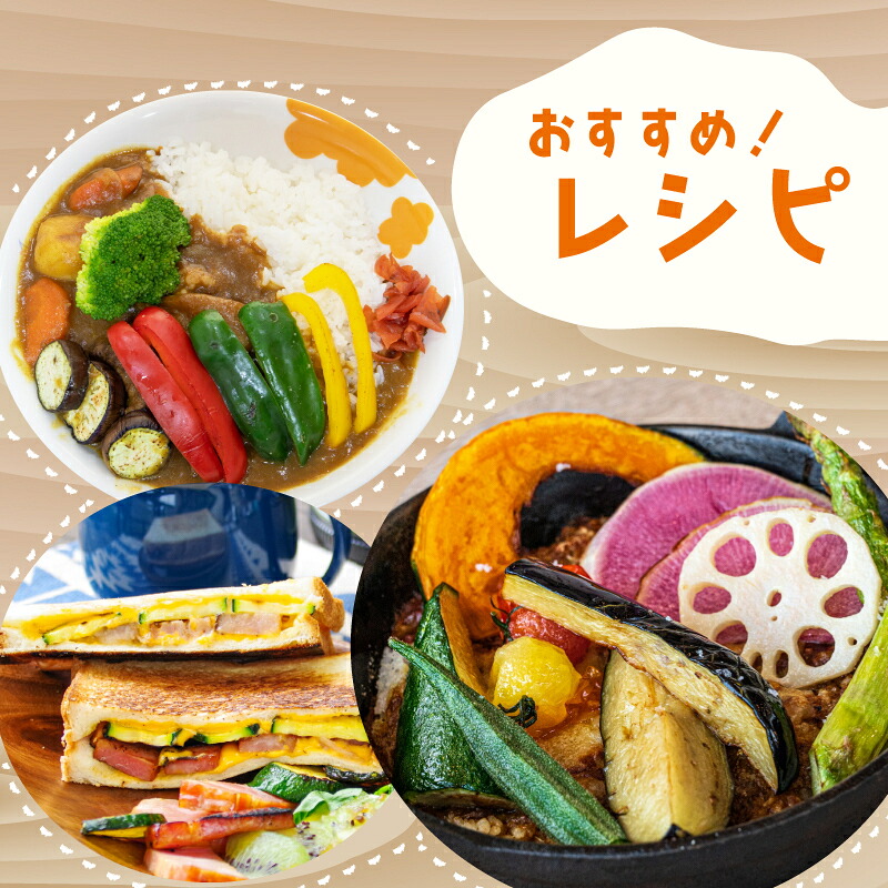 季節の野菜セット 産地直送 朝採れ （7品 ～ 8品 野菜 セット 詰め合わせ 特産 季節 旬 新鮮 彩 ベジタブル 高知県 須崎市  ） NPO020