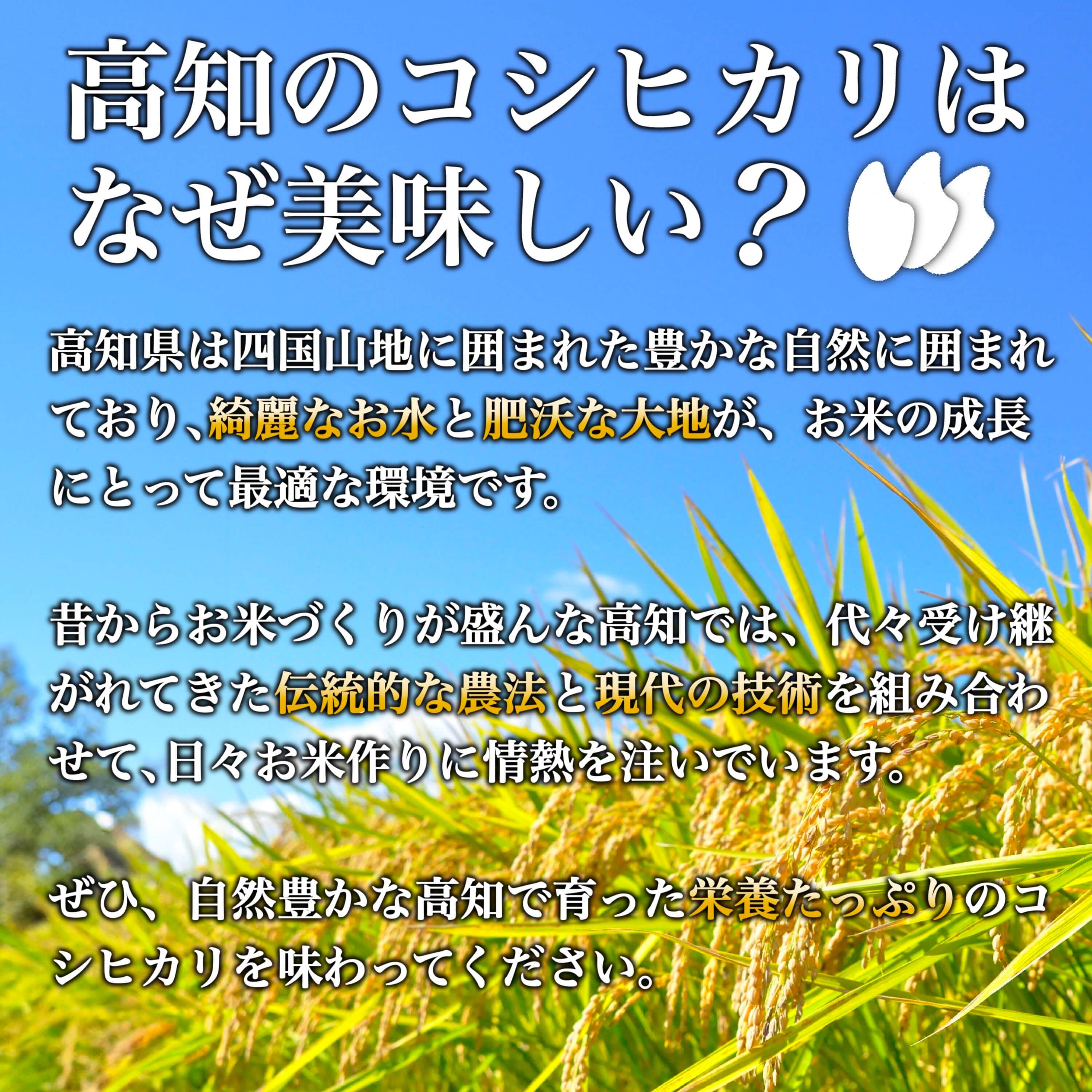 【ふるさと納税】 令和8年産 新米 コシヒカリ 定期便 5kg 3回 選べる容量 選べる回数 8月中旬発送開始 農家直送 高知県産 清流 新荘川流域 清流育ち 早場米 白米 精米 お米 おこめ ご飯