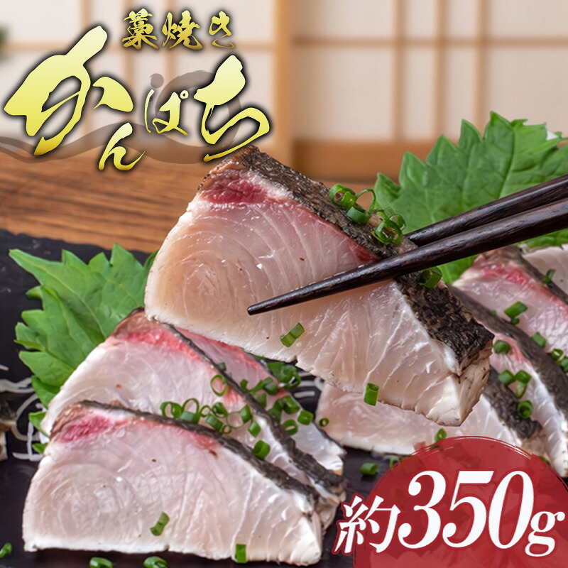 魚貝類 とろける極上の脂 希少 トロ 焼きかつお 350g