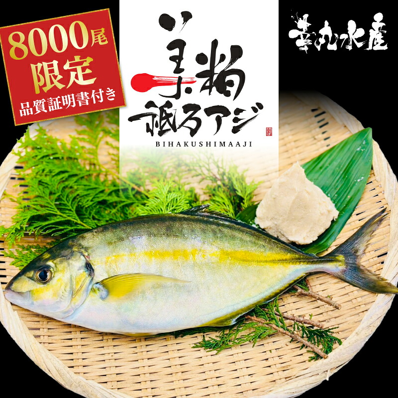 美粕祇万アジ 250g フィーレ 2パック 高級魚 刺身 刺身用 縞鯵 シマアジ 鯵 海鮮 鮮魚 新鮮 魚介 冷凍 魚 さかな 小分け 高知県 須崎市 SCM001