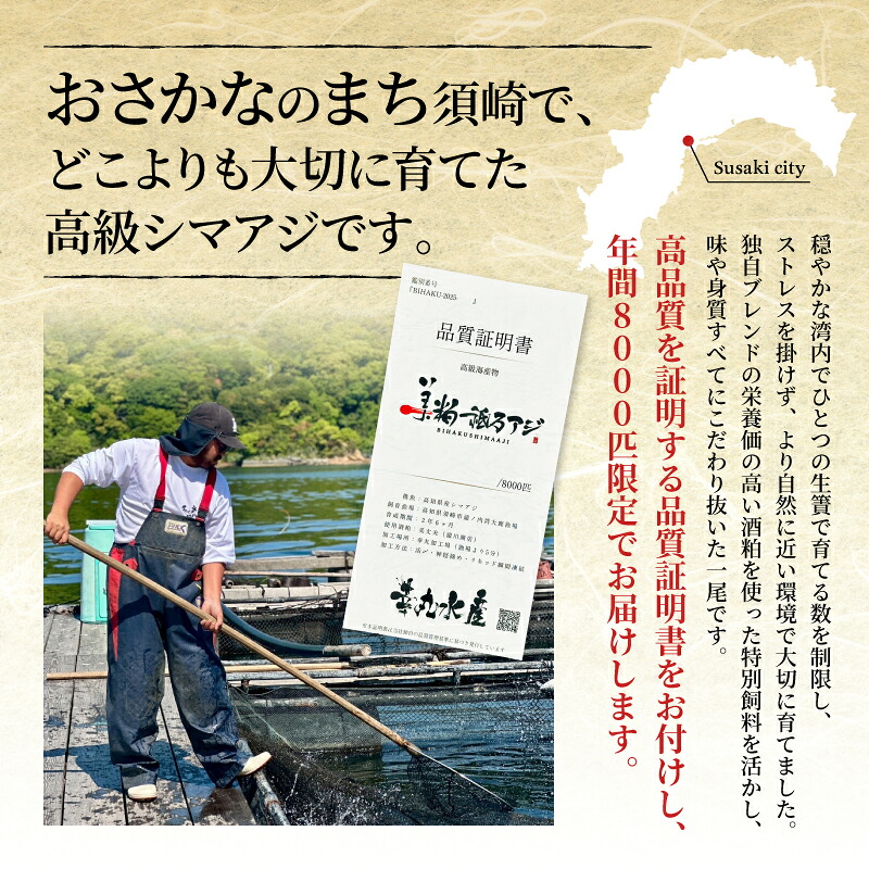 美粕祇万アジ 250g フィーレ 2パック 高級魚 刺身 刺身用 縞鯵 シマアジ 鯵 海鮮 鮮魚 新鮮 魚介 冷凍 魚 さかな 小分け 高知県 須崎市 SCM001