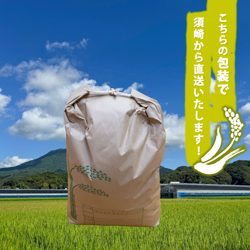 2026年 コシヒカリ 選べる容量 産地直送 高知県産 白米 精米 こしひかり 米 常温 配送 ブランド米 国産 はくまい 白 玄米 米 こめ おこめ 早場米 産地 直送 にんき ブランド 人気 おすすめ