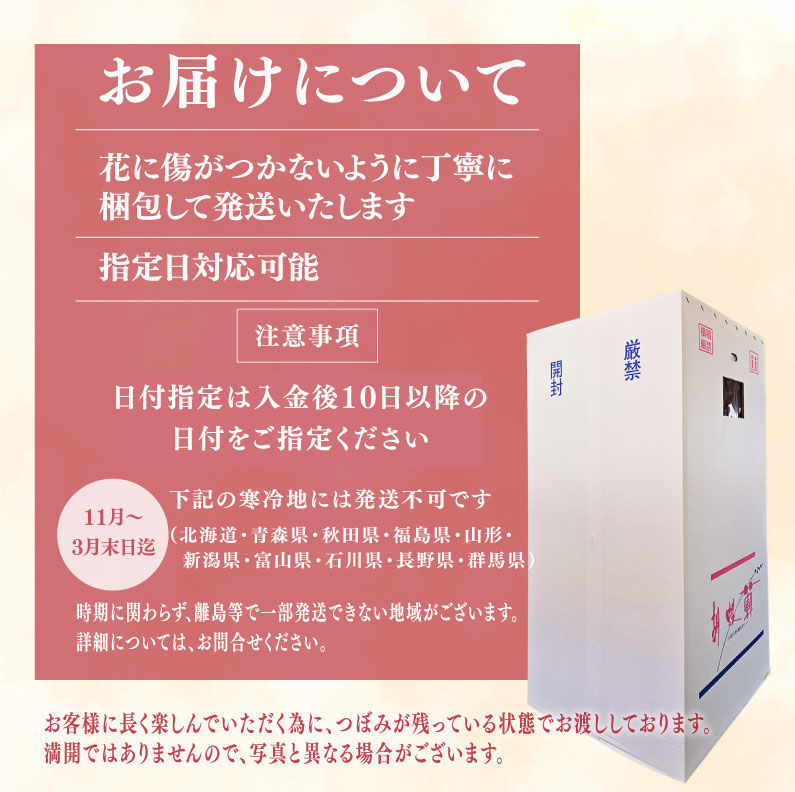 指定日配達 胡蝶蘭 3本立て 白 花 はな お花 日付指定 記念日 お祝い プレゼント ギフト 贈答 贈り物 選べる カラー ラッピング 鉢花 鉢植え 洋蘭 洋ラン 冠婚葬祭 蘭 らん 新築祝い 豪華