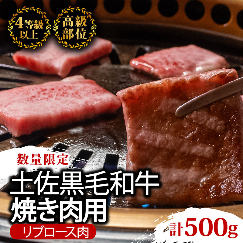 土佐 黒毛 和牛 焼肉用 500g
