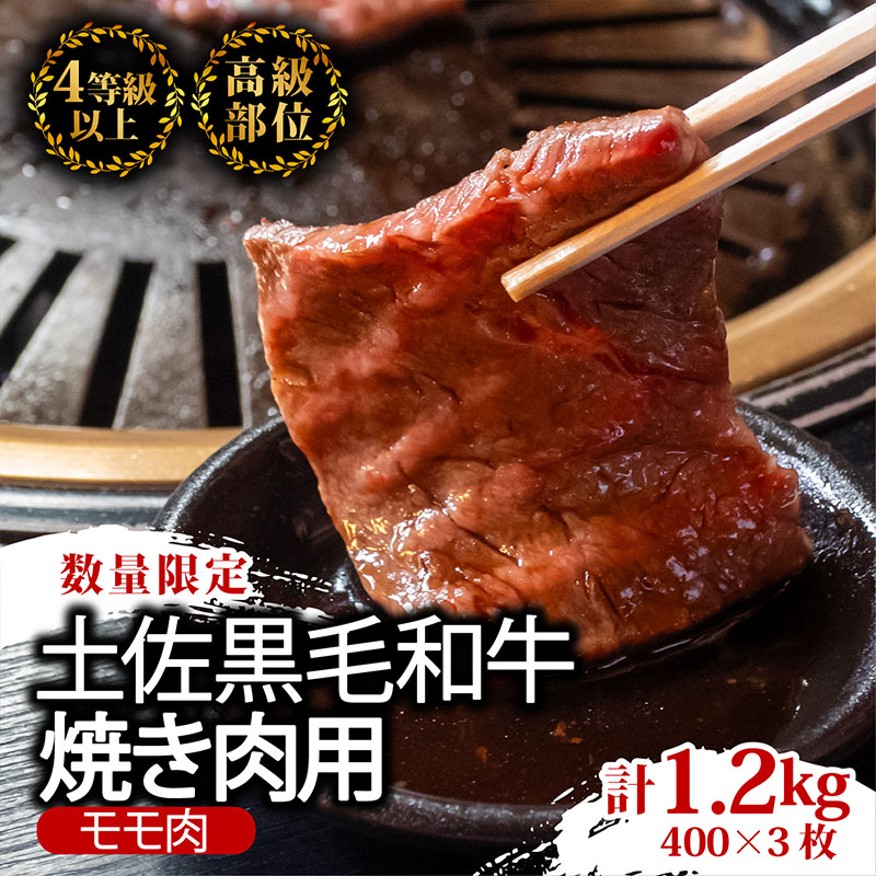 土佐 黒毛 和牛 焼肉用1.2kg 600g