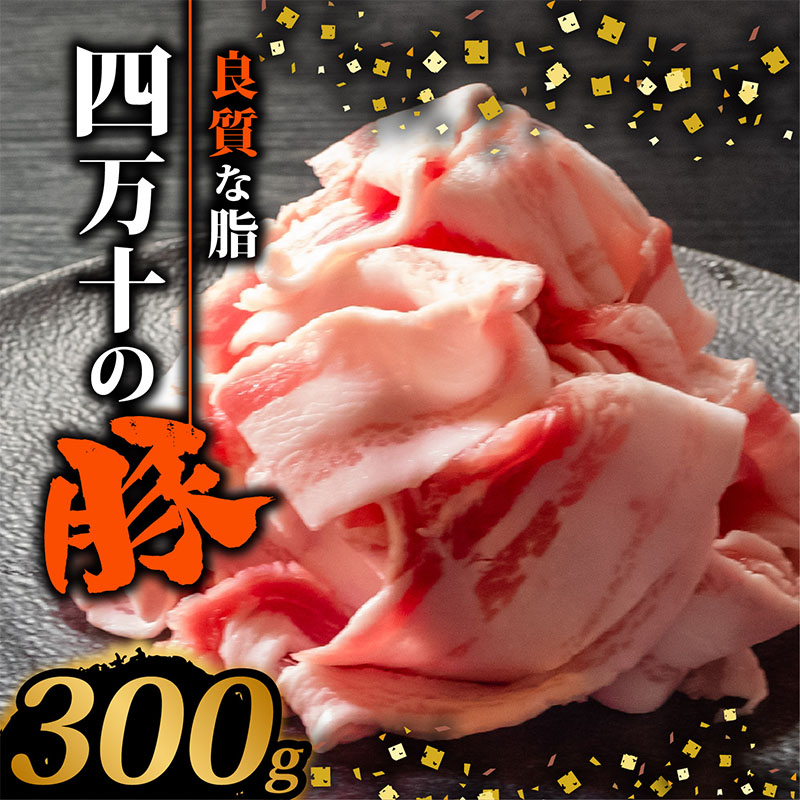 豚肉 バラ 四万十ポークスライス300g