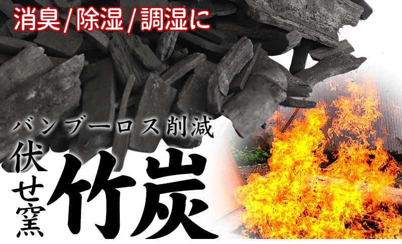 伏せ窯竹炭 3kg 消臭 調湿 虎竹 健康 消臭 ギフト おすすめ 返礼品 生活用品 日用品 高知県 須崎市