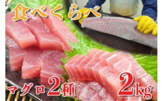 マグロ 訳あり 大満足 もちもち キハダマグロ