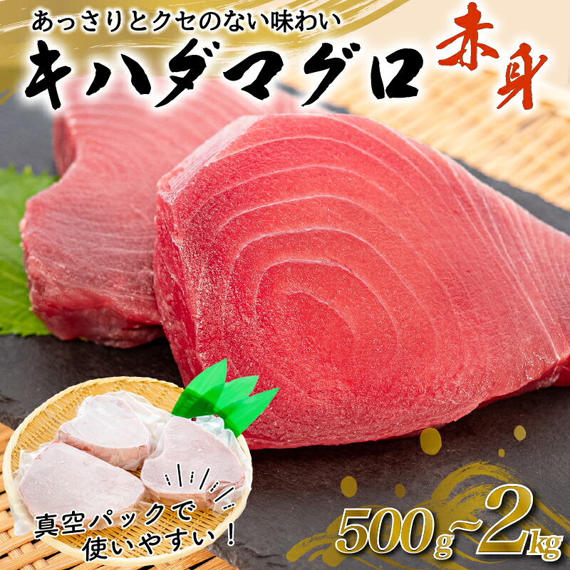 訳あり 大満足 もちもち キハダマグロ 赤身 1kg キハダ マグロ 鮪 魚 魚介類 海鮮 新鮮 国産 国産マグロ 刺し身 刺身 切身 海鮮丼 鉄火丼 おかず 惣菜 ご飯のお供 ふるさと納税 人気 ふ
