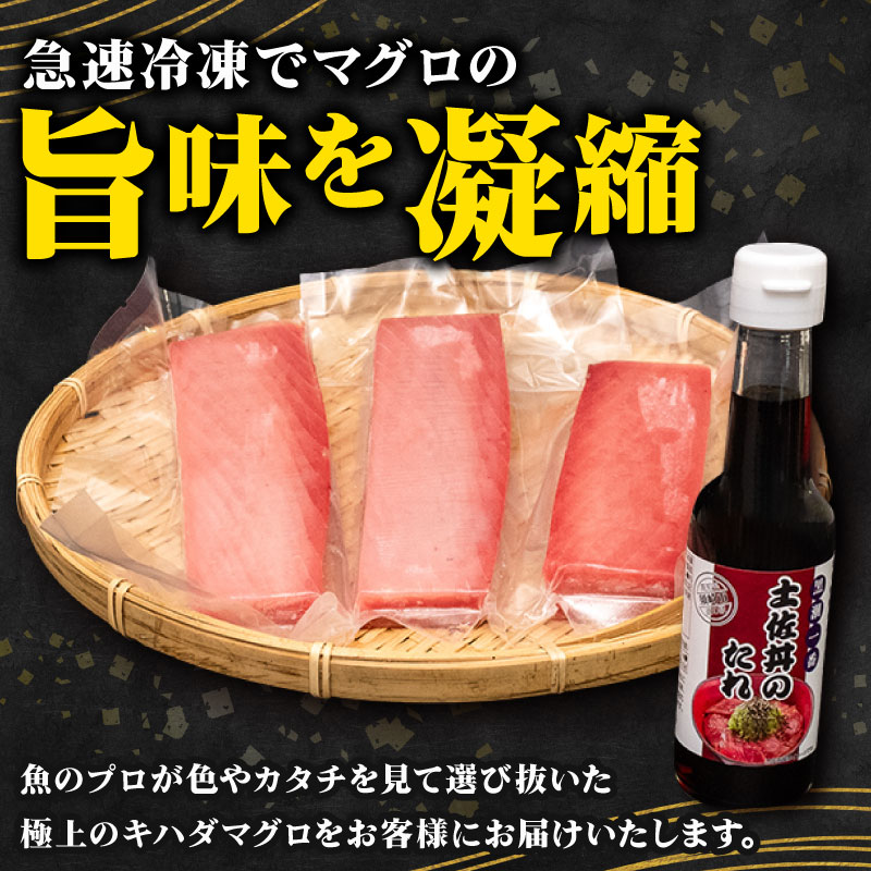 キハダマグロ 赤身 1kg 土佐丼 たれ 1本 150ml セット キハダ マグロ 鮪 刺身 刺し身 切身 惣菜 おかず ご飯のお供 手軽 便利 海鮮丼 マグロ丼 鉄火丼 ふるさと納税 人気 高知県