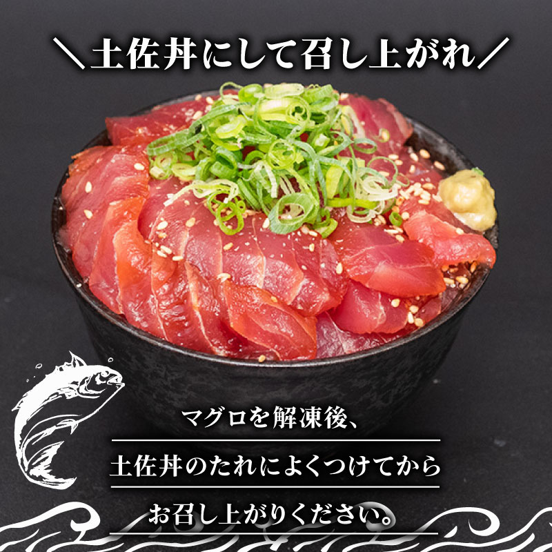 キハダマグロ 赤身 1kg 土佐丼 たれ 1本 150ml セット キハダ マグロ 鮪 刺身 刺し身 切身 惣菜 おかず ご飯のお供 手軽 便利 海鮮丼 マグロ丼 鉄火丼 ふるさと納税 人気 高知県