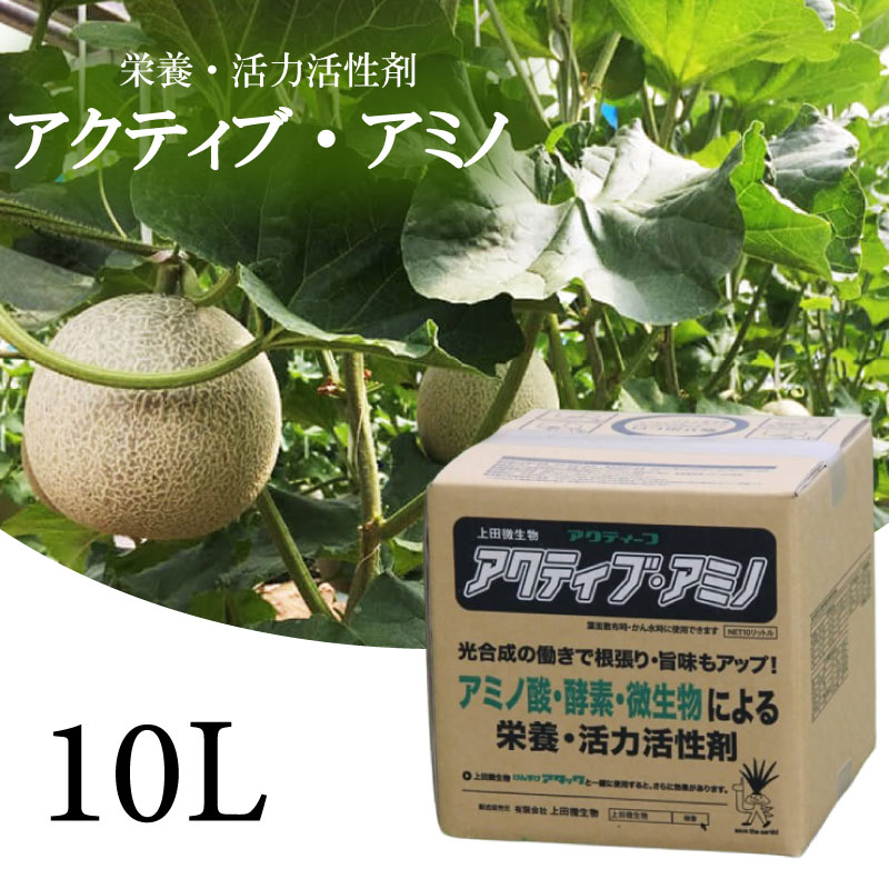 生き物 活性剤 10L