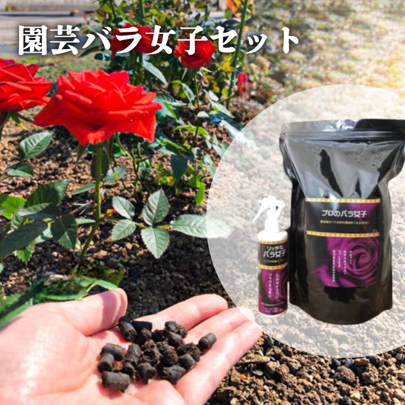 園芸バラ女子セット バラ専用の土改良材と栄養スプレー