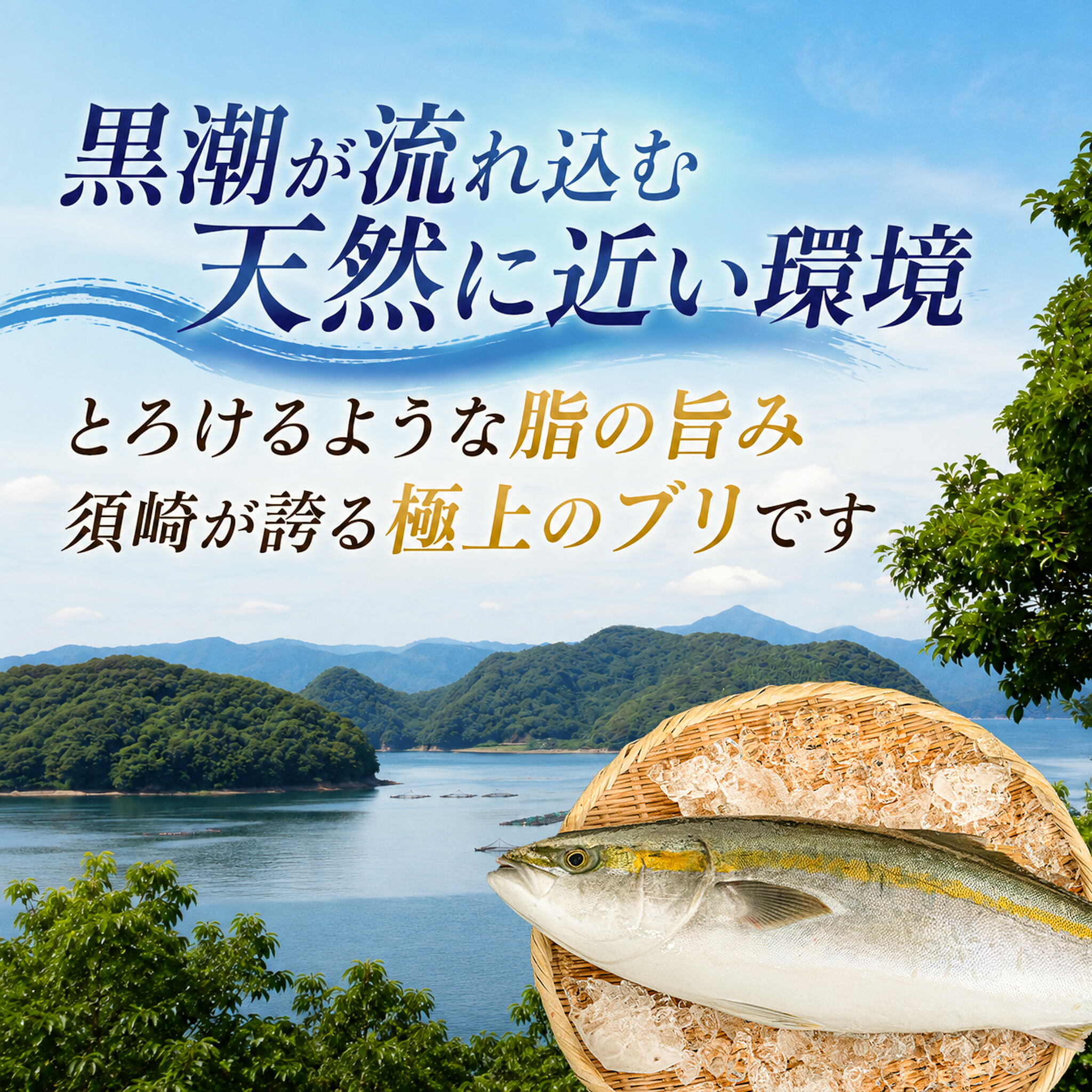 ブリづくしセット ぶり 鰤 漬け丼 タタキ たたき スライス ポン酢付き 刺身 海鮮 魚 冷凍 食べ比べ 詰め合わせ お取り寄せ 高知県 須崎産 国産 ご当地 真空パック しゃぶしゃぶ グルメ 海鮮丼